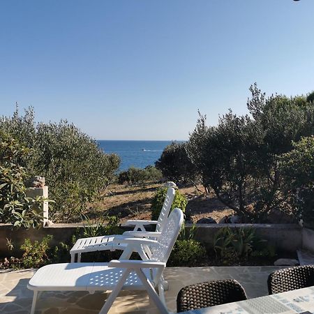 Apartment Goga סביד מראה חיצוני תמונה